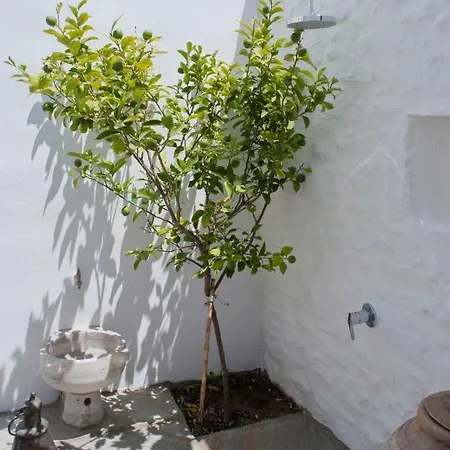 The Cypress House